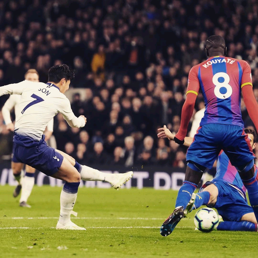 一直以其 一直以其