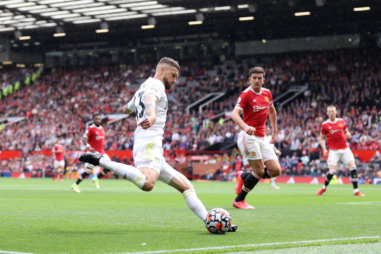 的容忍度 的容忍度